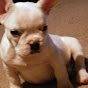 Profile Picture of Ginger Long (@@gingerlong1) on Tiktok