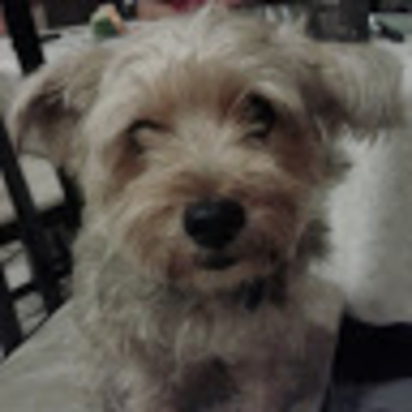 Profile Picture of Eunice Dos santos (@eunice02664) on Poshmark