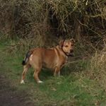 Profile Picture of Ruth Cox (@ruth.cox.5249) on Instagram