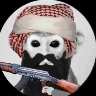 Profile Picture of Scott Dowdell (@ScottDowdell1) on Twitter