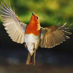 Matthew Laming - Twitter Profile Picture of Matthew Laming (@55matt5) on Twitter