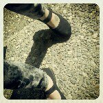 Profile Picture of Lori Longo (@nissaraeopelan) on Instagram