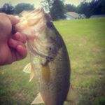 Profile Picture of jason gruver (@bass_slayer99) on Instagram