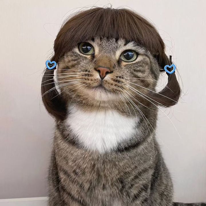 Profile Picture of Maria Jobbagy (@mariajobbagy) on Tiktok