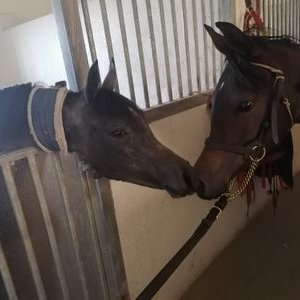 Profile Picture of عبدالله (@ONUSzSAYyNOM5sw) on Twitter