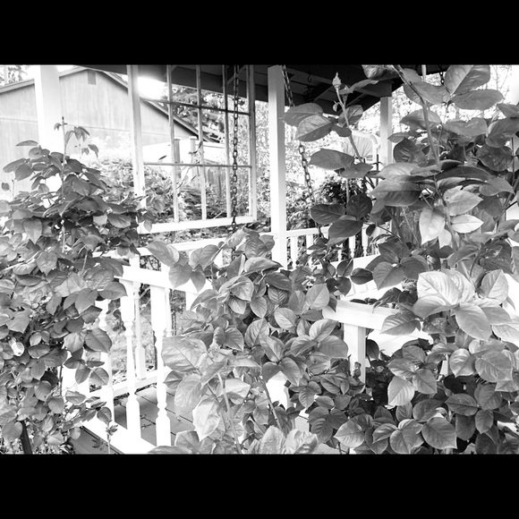 Profile Picture of Chloe Metsker (@raven_puff05) on Poshmark