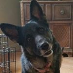 Profile Picture of Nancy Elizabeth Schechter (@schechternancy) on Instagram
