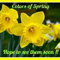 Profile Picture of Janet Bishop (@janet-bishop-13) on Quora