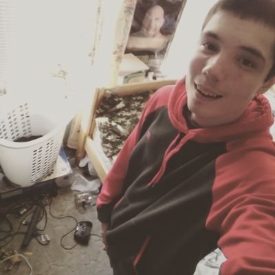 Profile Picture of Michael Kocsis (@MichaelKocsis5) on Twitter