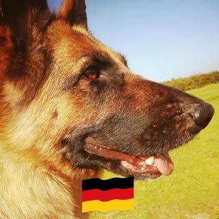 Profile Picture of Sylvia Hüsing (@sylvia.wiese) on Instagram