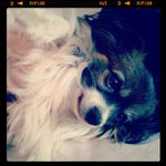 Profile Picture of Miriam Fowler (@topfluisect) on Instagram