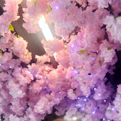 Profile Picture of Byron Lowe (@byronlowe6994) on Youtube