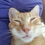 Profile Picture of Laurie Hepler (@decisions_not_conditions_) on Instagram