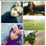 Profile Picture of Nancy Nasser Shahin (@nancy.nasser7918) on Instagram