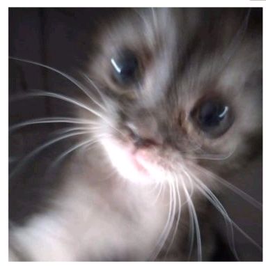 Profile Picture of james_core (@robloxperson3) on Tiktok