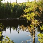 Profile Picture of laurie chapman (@ilovebugs57) on Instagram