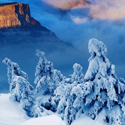 Profile Picture of Daniel Segarra (@danielsegarra13) on Twitter