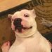 Profile Picture of Paul Comer (@paul.comer.31) on Facebook