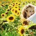 Profile Picture of Kelly Lattimer (@kellylattimer20449) on Pinterest