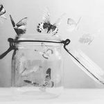 Profile Picture of Cindy Schumann (@schum_cin) on Instagram