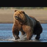 Profile Picture of Kenny Gauthier (@kenny.gauthier) on Instagram