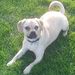 Profile Picture of Jack Holderman (@ja69er2002) on Pinterest