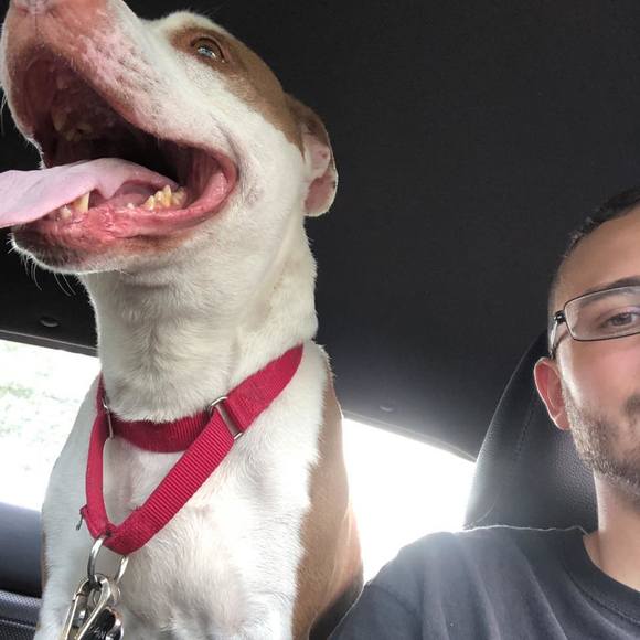 Profile Picture of Ben Febbriello (@benfebb1) on Poshmark