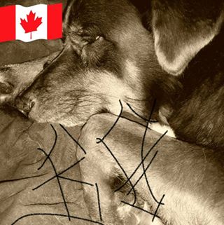 Profile Picture of Adrian Brent (@adrian.brent1) on Facebook