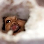 Profile Picture of Carl Herbert II (@carachnophobia) on Instagram