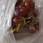 Profile Picture of Ed Ward Cruise (@ed.ward.cruise.65747) on Facebook