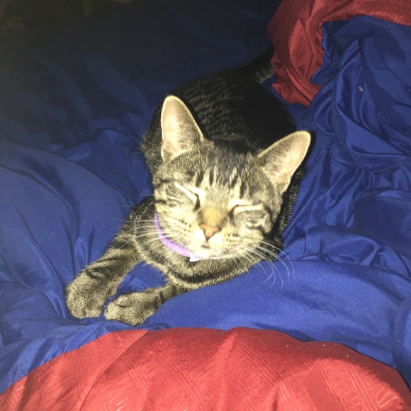 Profile Picture of Stephanie Decoster (@stephaniedecost) on Poshmark