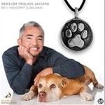 Profile Picture of Cesar Milian (@cesar_augusto_milian) on Instagram