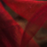 Profile Picture of Julia Vidanova (@ray virgo) on Flickr