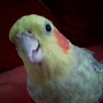 Profile Picture of Michelle Craven (@shellywelly1965) on Instagram
