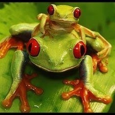 Profile Picture of Juanita Cobbs (@392196409) on Myspace