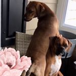 Profile Picture of Laurie Malone (@laurie7894) on Instagram