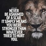 Profile Picture of Amanda Scoggins (@amandascoggins1) on Instagram