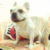 Profile Picture of Mari Ito (@100mariquita) on Youtube