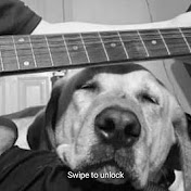 Profile Picture of Alex Ebersole (@alexebersole7258) on Youtube