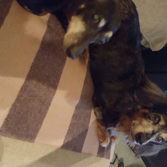 Patrick Boicourt - Poshmark Profile Picture of Patrick Boicourt (@beentouched) on Poshmark