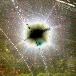 Profile Picture of neil_harrell (@neil_harrell) on Instagram