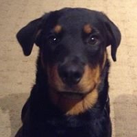 Profile Picture of Andrew W McSpadden (@8d70d28722b044a) on Twitter