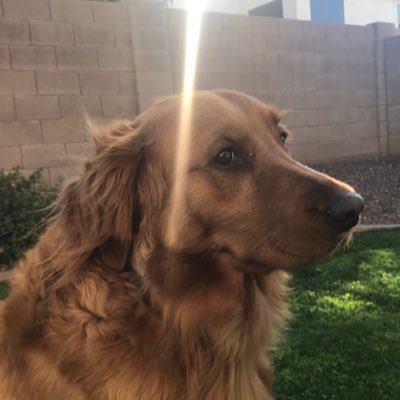 Profile Picture of Hayden Mason (@HaydenM117) on Twitter