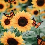 Julia - Instagram Profile Picture of Julia (@julia_rendon_) on Instagram