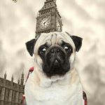 Profile Picture of Sophia Lacy Poole (@sophialacypoole) on Instagram