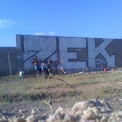 Profile Picture of Peter Saenz (fros) (@fros_sek) on Twitter