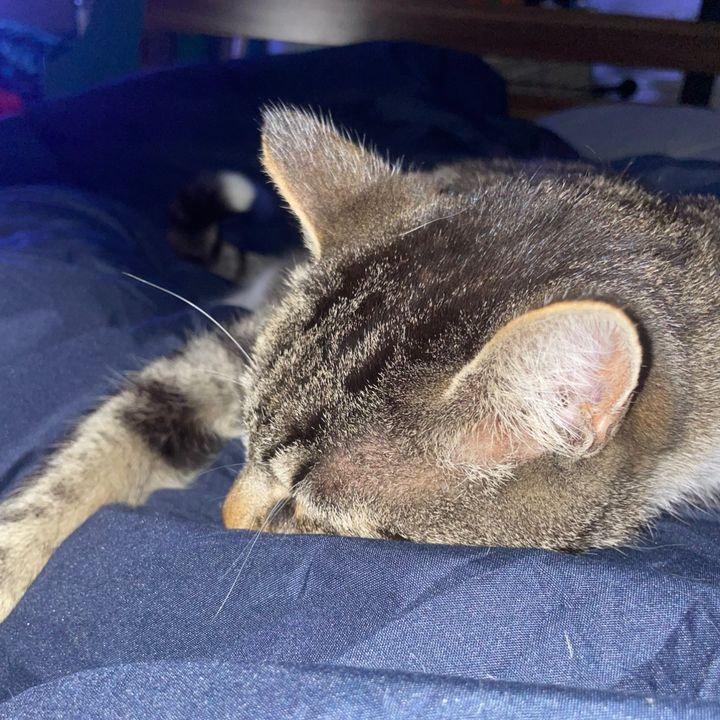 Profile Picture of ✝️Michael Emmett✝️ (@michael.emmett4) on Tiktok