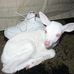 Profile Picture of Terry Spaulding (@terry.spaulding.16) on Facebook