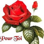 Profile Picture of André Ducharme (@andre.ducharme.1238) on Instagram