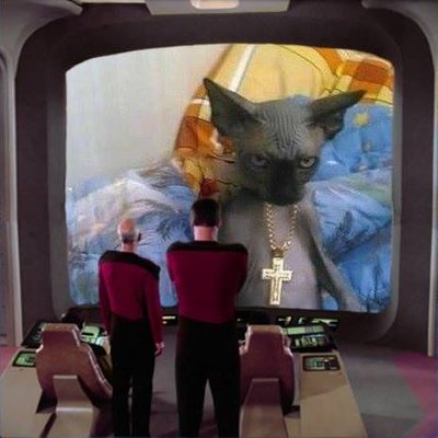 Profile Picture of Joshua Raoul Whittle  🐀 🐀 🐀 (@JoshDaCat) on Twitter